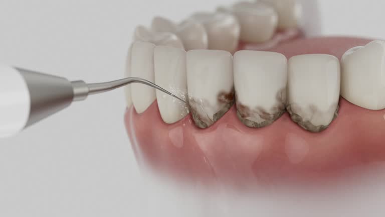 Reliable Dental contractor in Daytona Beach, FL by Dentist Open Now